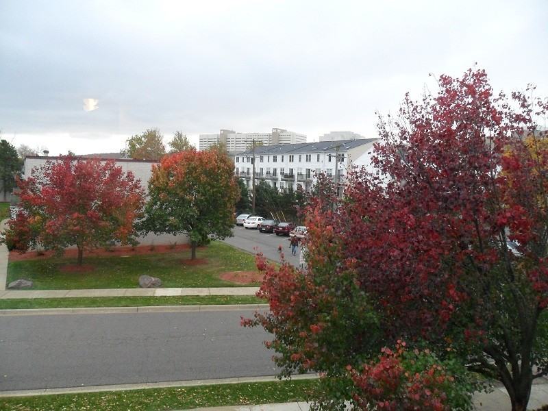 1126 Nielsen Ct #1126-5 - Photo 2 of 3