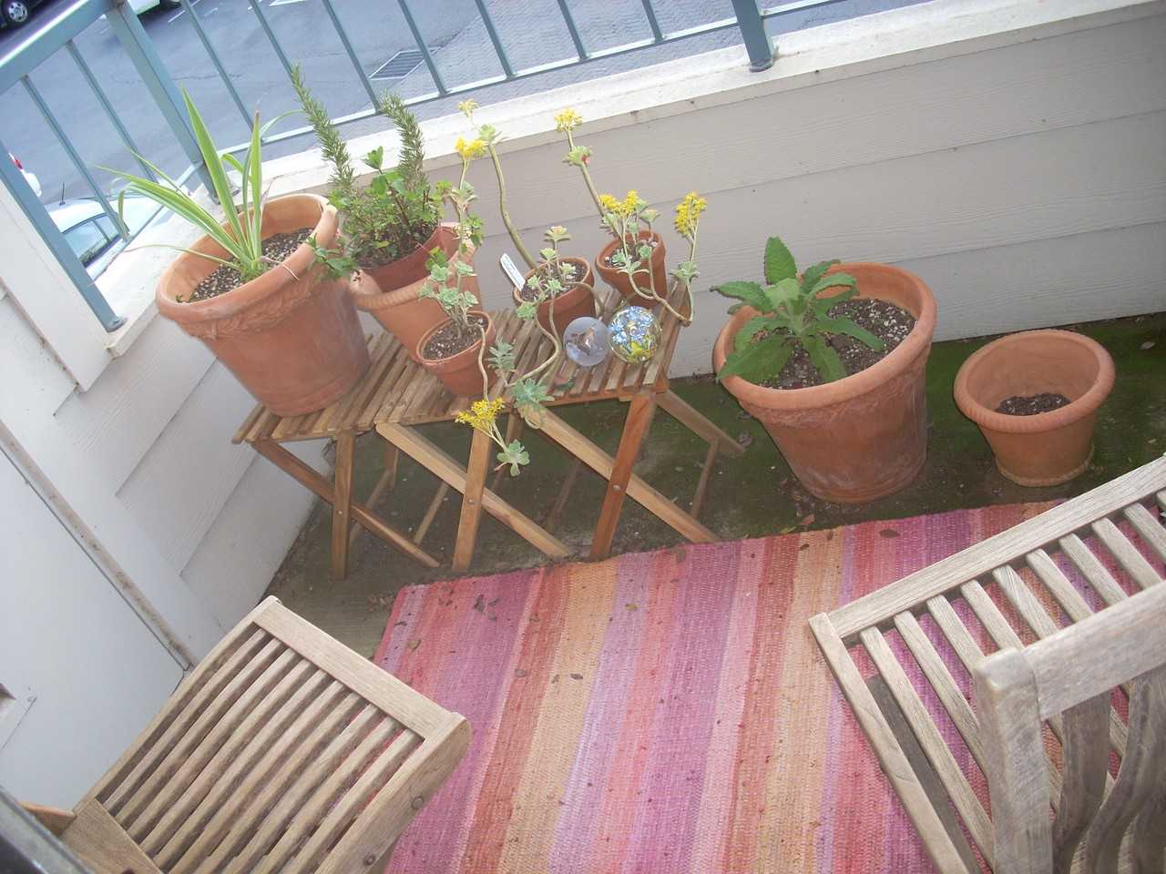 2000 Shasta Dr - Photo 2 of 7