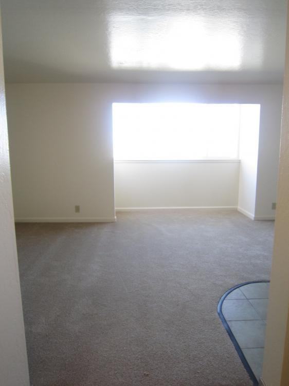 999 Laguna St #304 - Photo 3 of 6