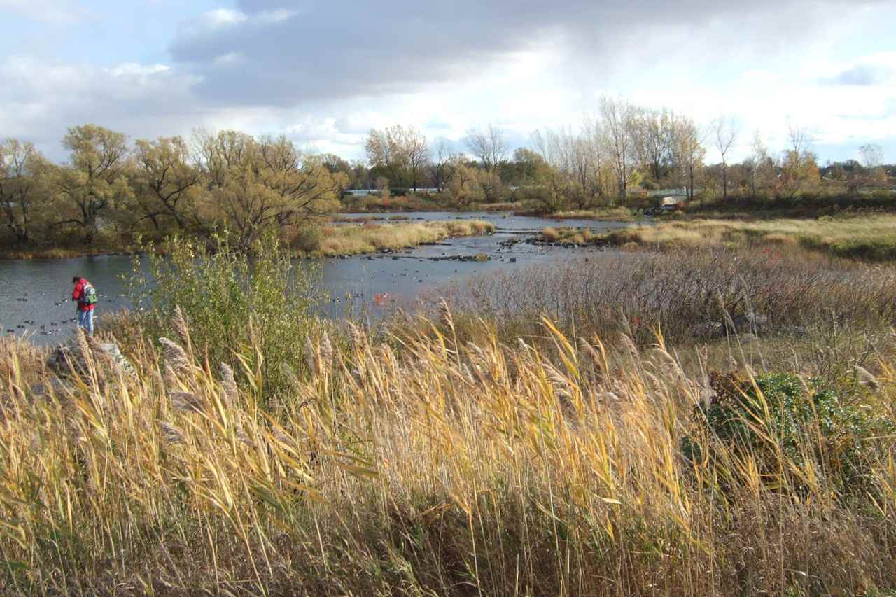 17 4e Av - Photo 2 of 6