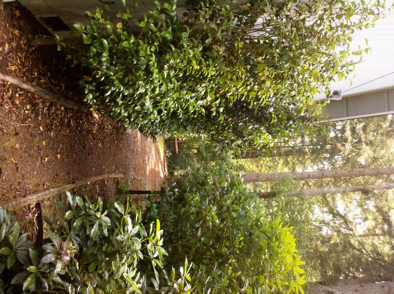 21712 E Terra Ln SE - Photo 2 of 4