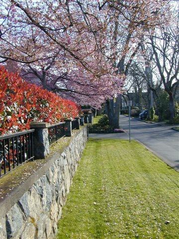 1035 Belmont Ave #1202 - Photo 2 of 11