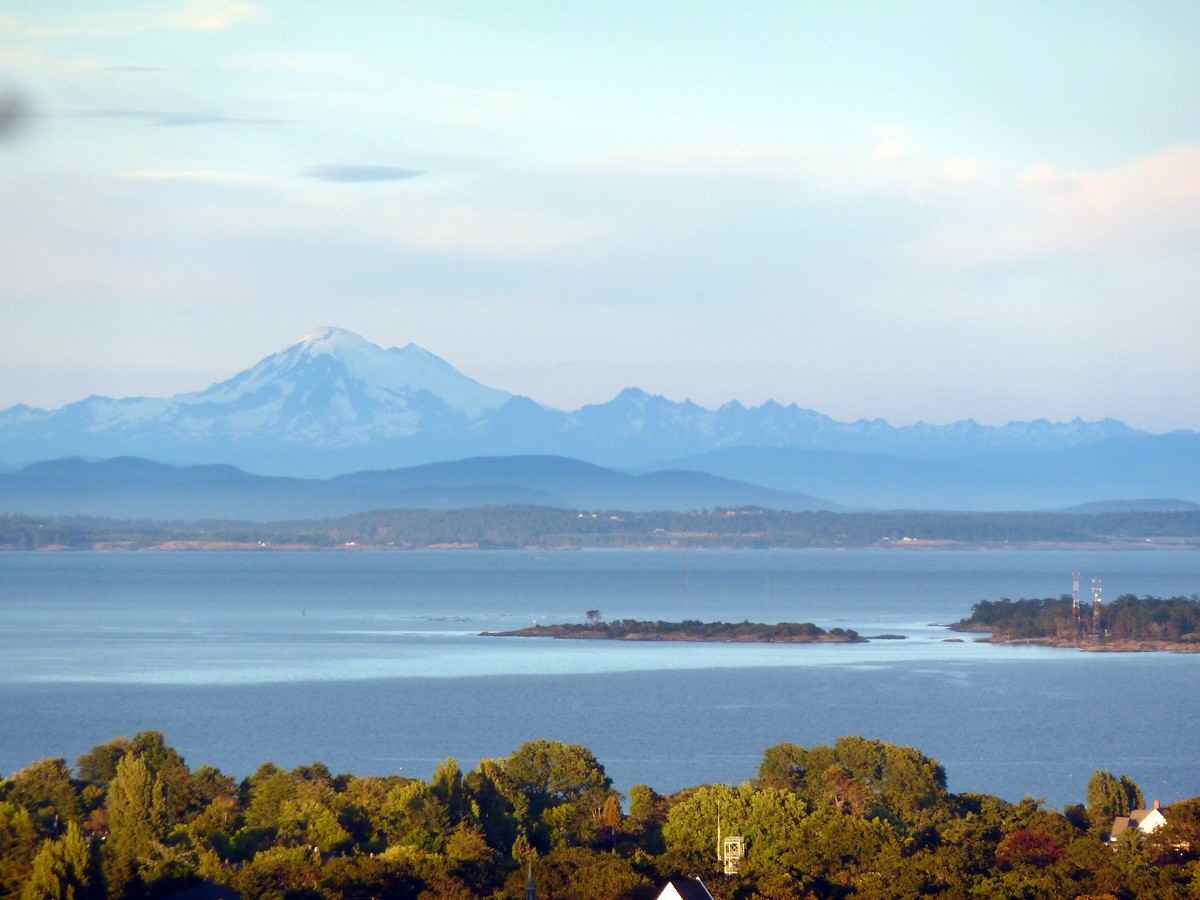 1035 Belmont Ave #1202 - Photo 3 of 11