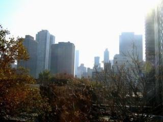 210 E 63rd St - Photo 3 of 5