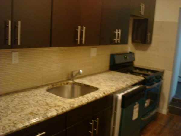 380 Herkimer St GARDEN - Photo 3 of 5