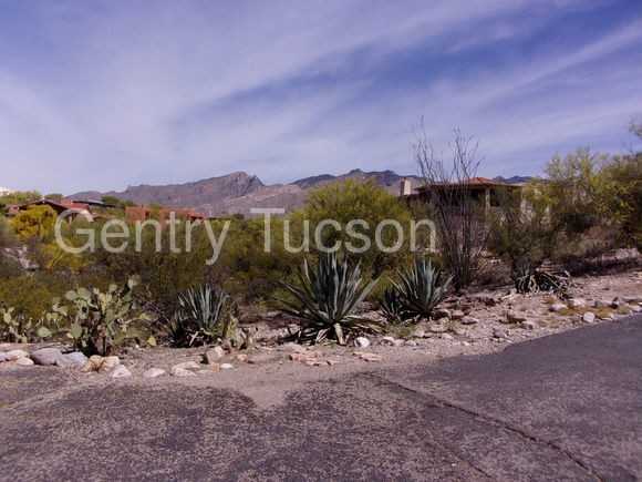 5025 N Placita Cholula - Photo 2 of 30