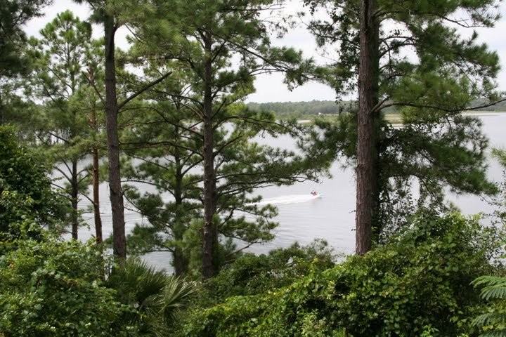 222 Lake Ray Rd - Photo 3 of 5