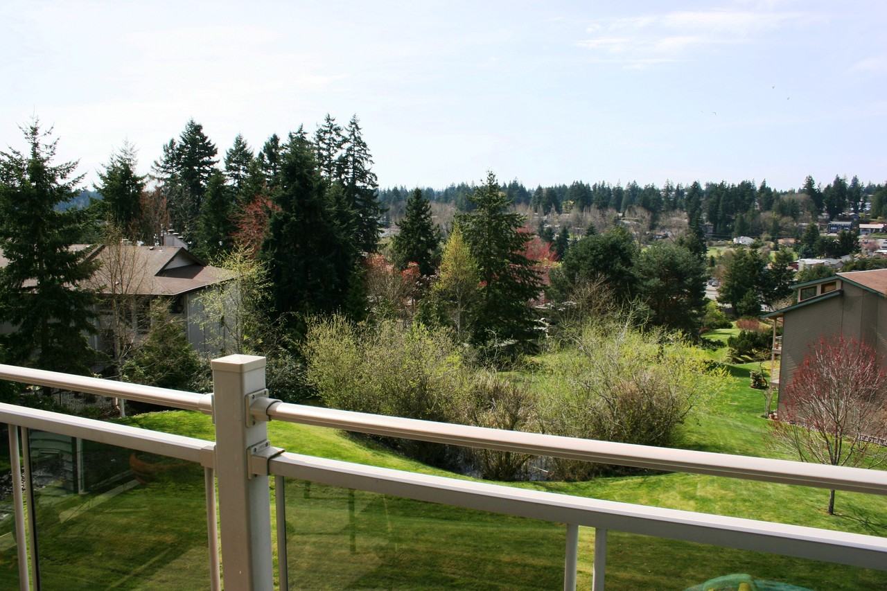 23009 Lakeview Dr #b305 - Photo 3 of 12