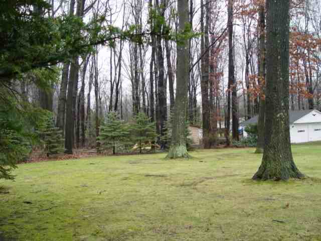 7171 Natalie Blvd - Photo 3 of 12