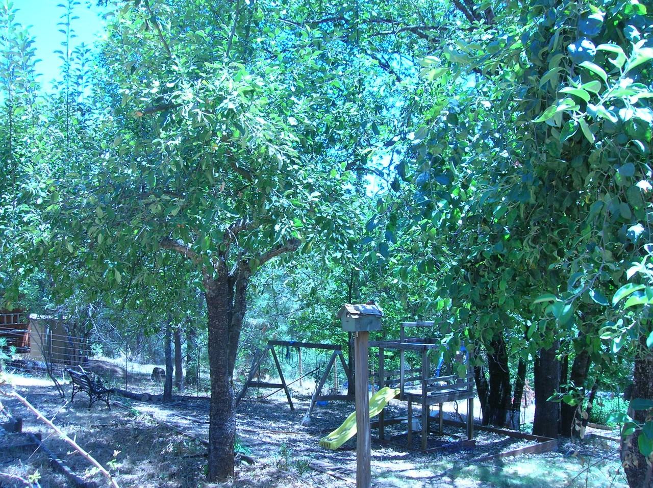 2582 Sunrise Dr - Photo 3 of 7