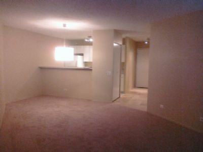 5420 N Sheridan Rd - Photo 2 of 11