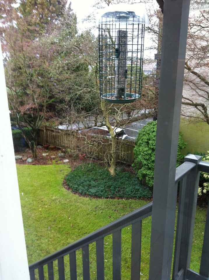 3170 Alma St - Photo 3 of 4