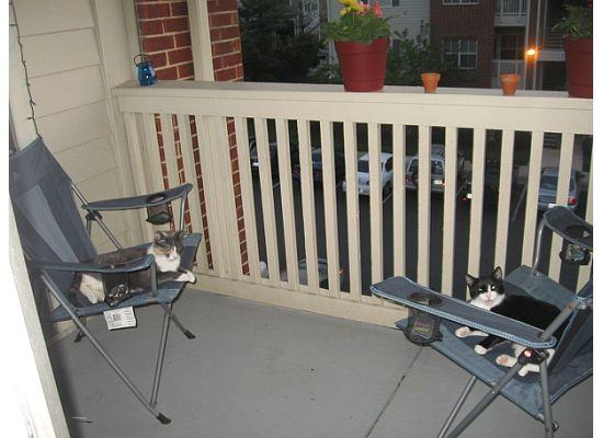 14072 Lotus Ln #435 - Photo 3 of 8