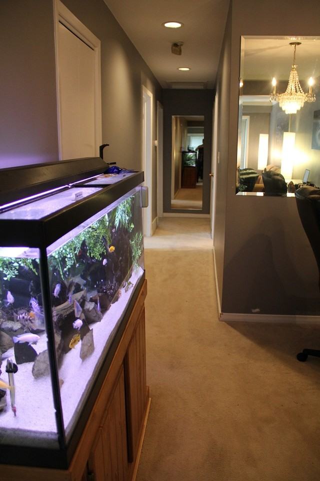 2 Cypress St - Photo 2 of 8