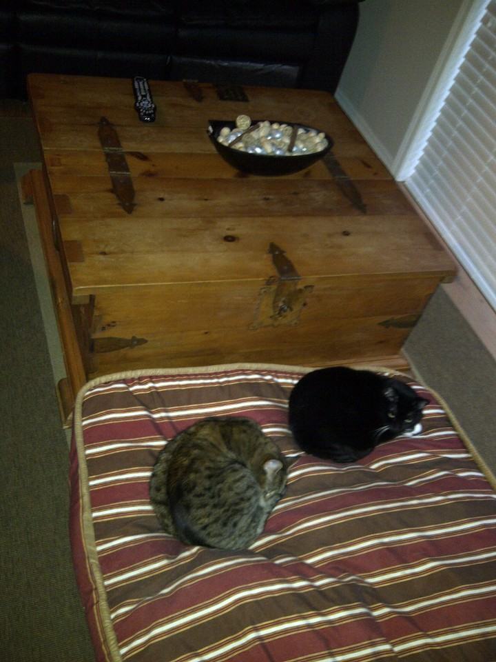 5788 Howard Ave #4 - Photo 2 of 7