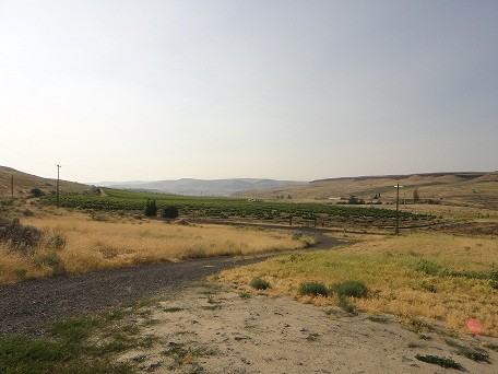 73854 Rattlesnake Rd - Photo 2 of 7