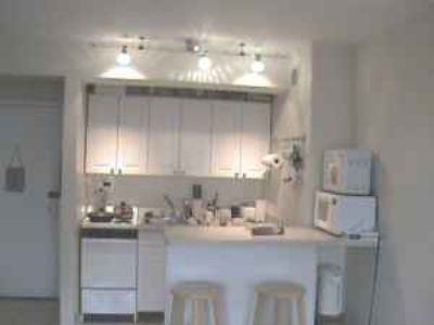 5815 N Sheridan Rd #608 - Photo 3 of 8