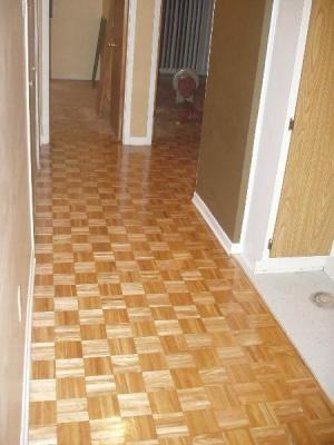 2629 Rue Alice Nolin, Montréal, QC H4N 3G6 2 Bedroom Apartment for 825