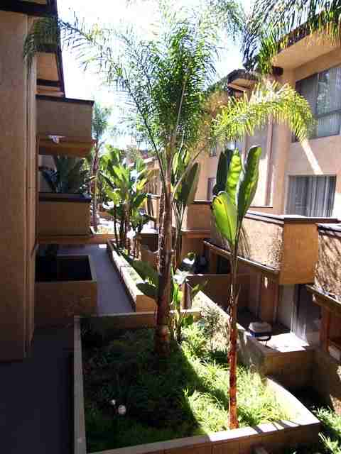 385 S. Catalina Ave,  The Mark. Pasadena CA 91101 - Photo 2 of 8