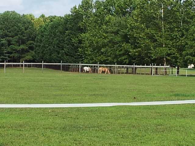 3121 Soper Rd - Photo 2 of 8