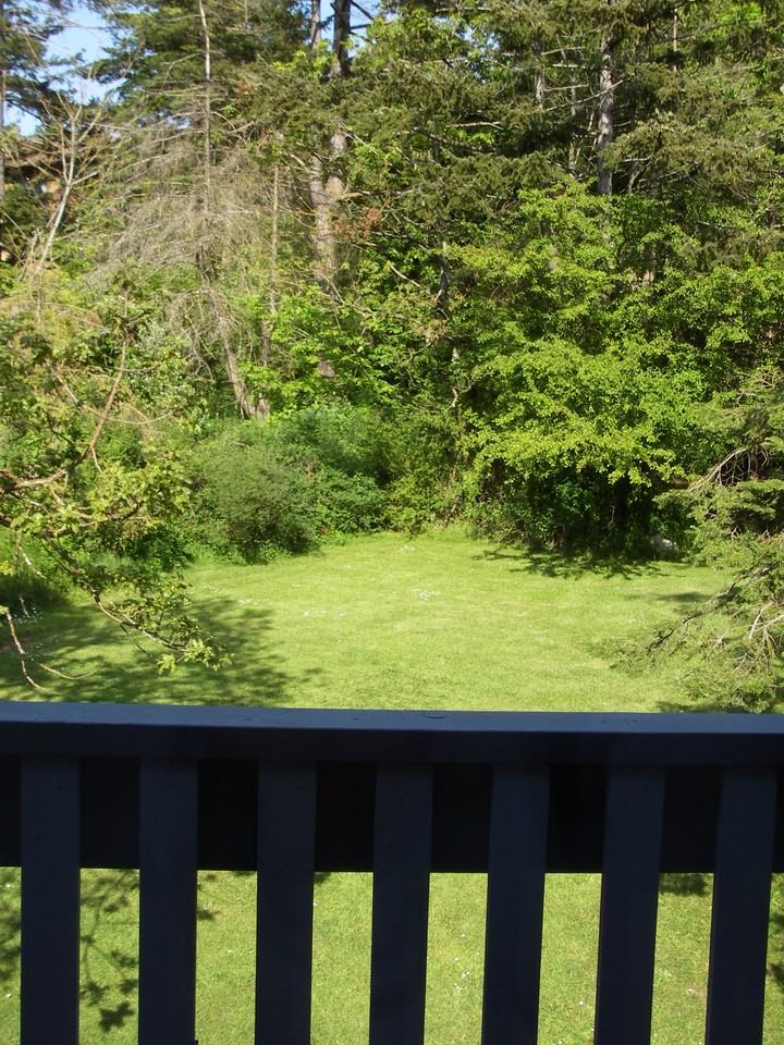 578 Carnation Pl #578 - Photo 2 of 10