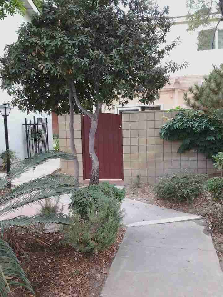 3342 Bradbury Rd - Photo 2 of 5