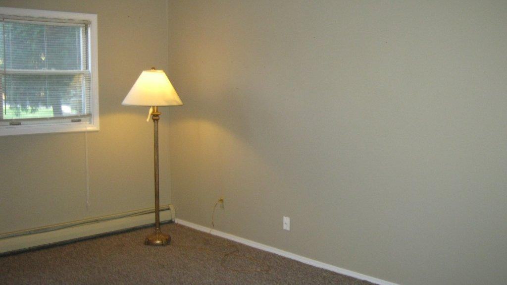 46131 N Lakeshore Dr - Photo 3 of 4