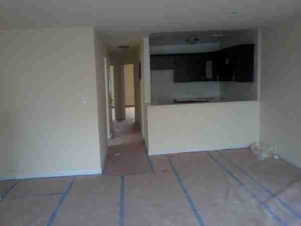 1081 Hancock St - Photo 2 of 8