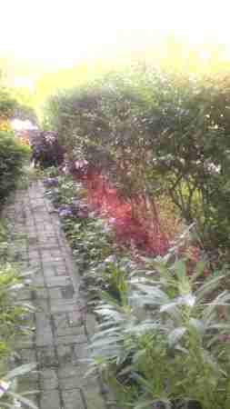 1627 McPherson St #1A - Photo 2 of 8