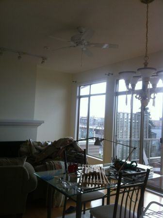 2408 Binning Ln - Photo 3 of 7