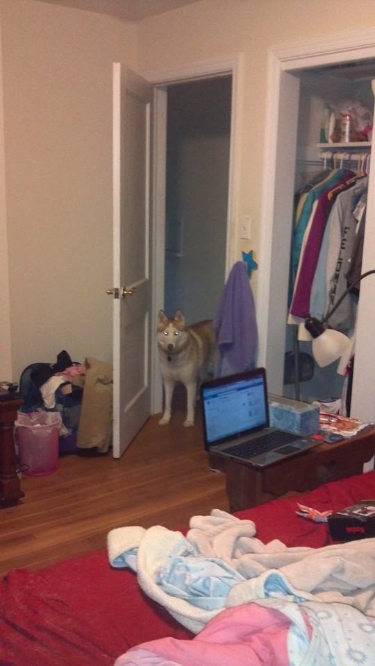 6424 29th St N - Photo 2 of 4