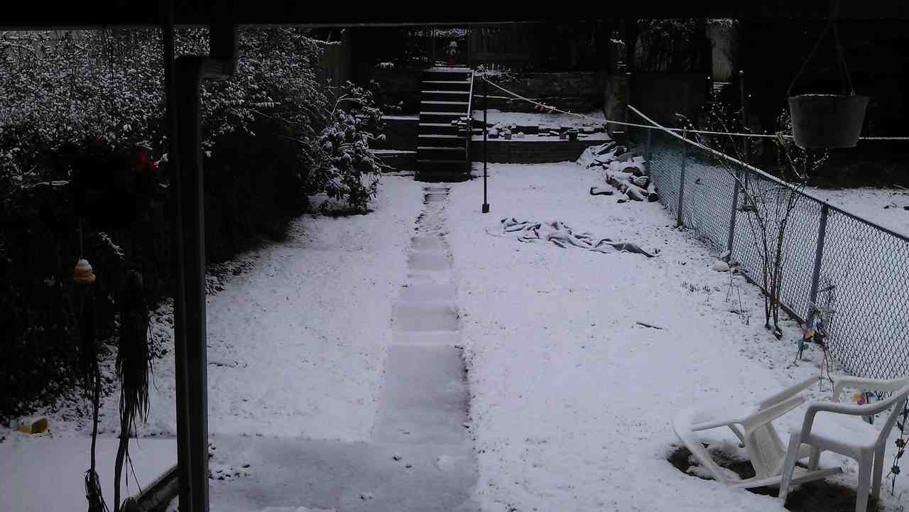 2825 Stayton St - Photo 3 of 15