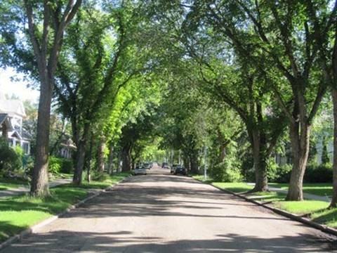 10918 125 St NW - Photo 2 of 17