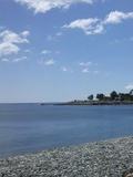 agent