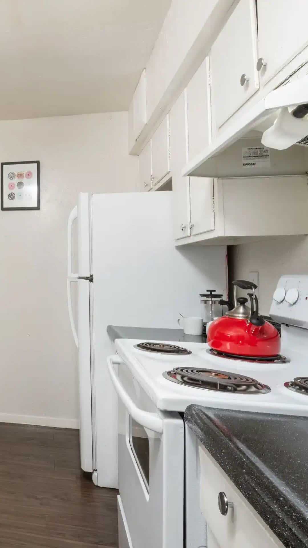 Lumina - Reel 17 of 17