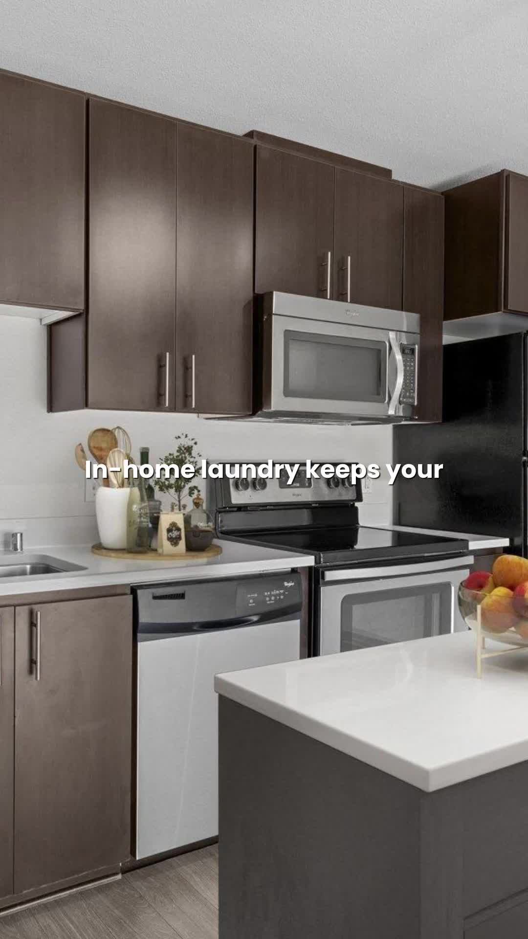 VIVA - Reel 29 of 29