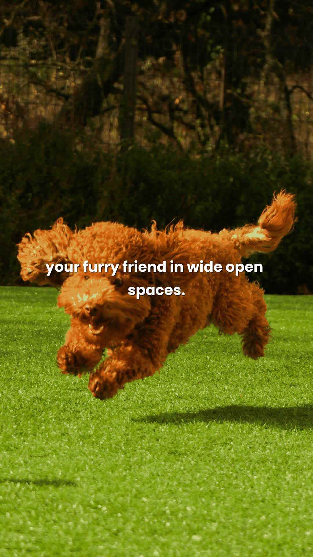 Bradleys Crossing - Reel 50 of 50