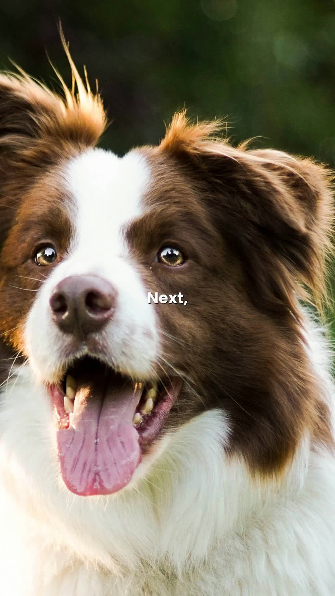 The Park at Matera - Reel 51 of 51