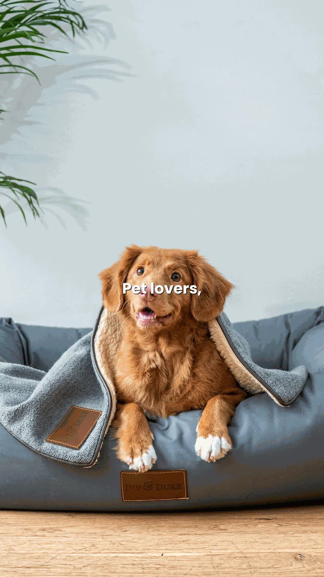 The Park at Monza - Reel 51 of 51