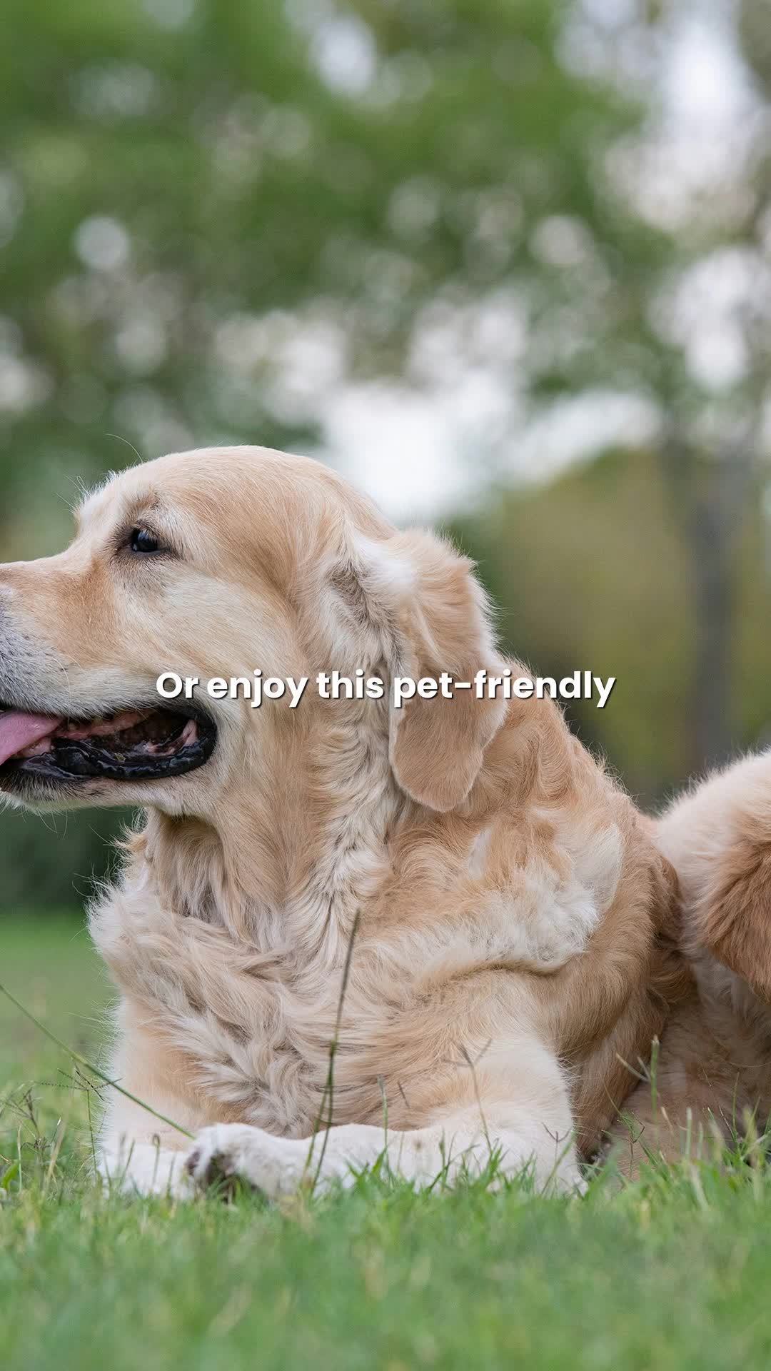 Ivy Hills Living Spaces - Reel 51 of 51