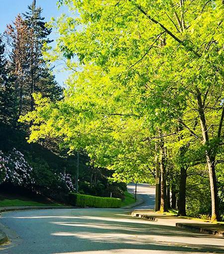 Kelsey Ridge Apartments - Reel 13 of 13