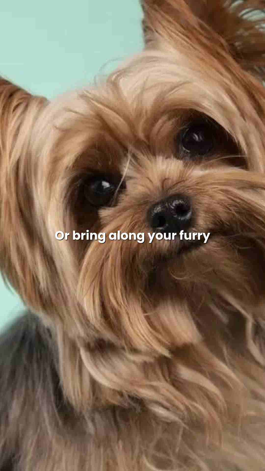 Maya at White Rock Apartments - Reel 50 of 50